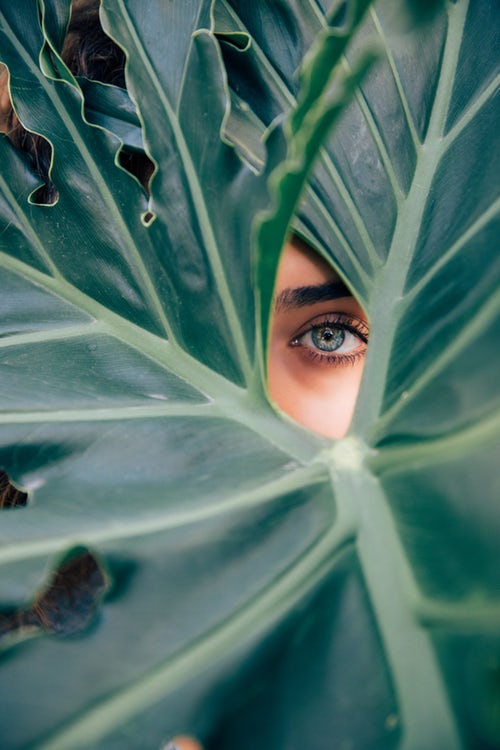 A woman's eye peers through a gap in large palm fronds as she looks for Jesus